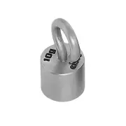 10g Hooked Weight Spare - Stainless Steel - Eisco Labs