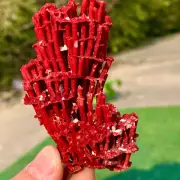 18G Natural Red coral reef Cluster Obean Mineral Crystal Specimen