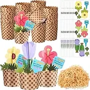Motipuns 30 Set Mother's Day Flower Craft Kits - Bulk Flower Bouquet Craft Kit Cards with Kraft Plaid Paper Cups for Kids & Classroom DIY Activities