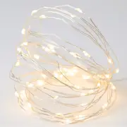 Silver Wire String Lights