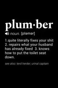 在飛比找博客來優惠-Plumber (noun. [plemer]) 1. qu