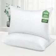 Pillows Queen Size Set of 2 - Luxury Hotel Bed Pillows for Sleeping, Premium ...