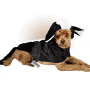 Otis and Claude Fetching Fashion Skunk Costume - XLARGE