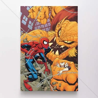 Spiderman Poster Canvas Amazing Spider-Man Marvel Comic Book Art Print #35