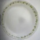 CORELLE " SPRING BLOSSOM GREEN " 10 1/4" DINNER PLATE'S SET OF 6 NIB