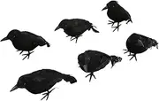 Crow Decoration, Black Feathered Halloween Simulation Crow Model 6pcs for Indoor