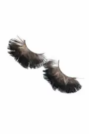 Napoleon Perdis Eye Lashes "Begonia" 1 Pair of Lashes - Reusable, New!