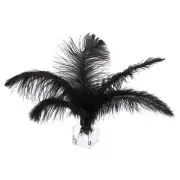 150 Pcs Natural Black / White Ostrich Feathers for Wedding(Black)