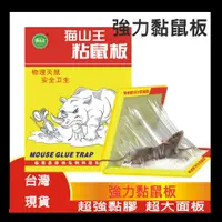 在飛比找蝦皮購物優惠-強力黏鼠板 台灣現貨 滅鼠 老鼠板 捕鼠器 捕老鼠 老鼠夾 