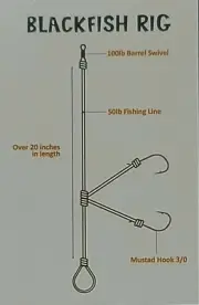 Blackfish Tog Tautog SALTWATER FISH RIG MUSTAD 3/0 HOOK 50lb MONO 2 Hooks