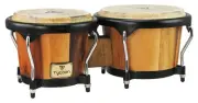 Tycoon Artist Series Jamjuree 7" & 8-1/2" Bongos - TB-80BJM