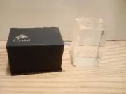 Florida Laser Etched Crystal Glass Cube Souvenir Dolphin Paperweight W/ Box NEW