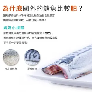 【永鮮好食】挪威鯖魚片 2L(約200g/包) 挪威 熱銷 薄塩 鯖魚片 鯖魚 居酒屋 減鹽 薄鹽 正挪威 鯖魚片 海鮮 生鮮