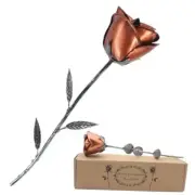 Coolest Gifts for Girlfriend Wife Gifts Ideas for Anniversary Valentines Red