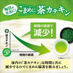 日本 綠茶 伊藤園 含抹茶 綠茶粉-100根入盒裝-打開裡面有100pcs無糖粉狀