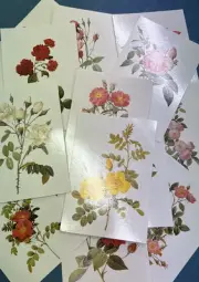 VINTAGE 1993 Pierre-Joseph Redoute (1759-1840) - 15 Rose Postcards - Bloomsbury