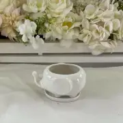 White Elephant Planter w/Dish 4" & 2" opening for plant ~ New!