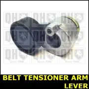 Belt Tensioner Arm Lever FOR RENAULT CLIO II 1.4 04->08 CHOICE2/2 Petrol QH
