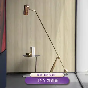 【IVY常春藤】環保無毒 防燃耐熱53X1000cm自然系木紋壁紙