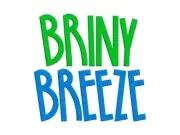 Briny Breeze Embroidery Font, Fun Quirky Cap Embroidery Font Alphabet, BX Ready