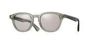 Eyevan Shelton-E Sun MSGN Men's Sunglasses Green Size 49