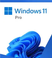 MICROSOFT Windows 11 Professional Retail 64-bit USB Flash Drive