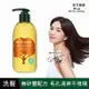 Phyto Derma 朵蔓 頭皮淨化洗髮精400ml(清爽淨屑款)