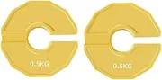 Snblzhef 2PCS Gym Micro-Type Plates Dumbbell Fractional Weight Plate Rubber Fractional Weight Plates Plates Add-on Aperture 35mm 0.5KG