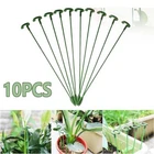 Frame Plant Pile Stand Plants Bracket Plants Support Phalaenopsis Stand