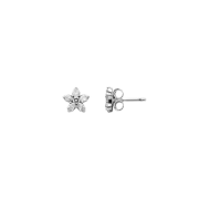(W) Pandora Sparkling Snowflake Stud Earrings Sterling Silver Clear