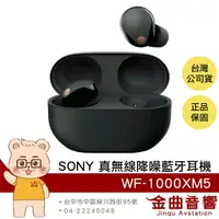 在飛比找樂天市場購物網優惠-Sony 索尼 WF-1000XM5 黑色 降噪 IPX4 