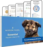 Wisdom Panel Essential: Most Accurate Dog DNA Test Kit for Breed ID and Ancestry | 25+ Genetic Health Conditions | Traits | Relatives,White,75 g (Pack of 1)