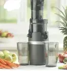 Princess House VIDA SANA™ ELECTRICS Cold Press Pro Juicer 5863
