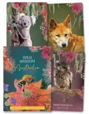 WILD WISDOM AUSTRALIA ORACLE KIT Deck Card Book Set Australian shaman cards