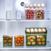 Plastic Egg Container Large Capacity Fridge Egg Storage Box for Home