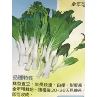 在飛比找蝦皮購物優惠-↖白梗甜菜心  種子  特價↗