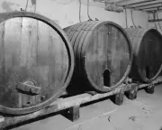 11x14 Print: Gilbert Brewery Casks