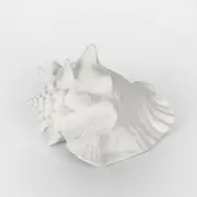 [Florabelle Living] Sandy White Sea Snail 21X19X13CM