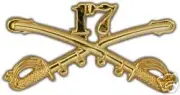 2.25" ARMY 17TH CAVALRY GOLD LAPEL HAT PIN BADGE