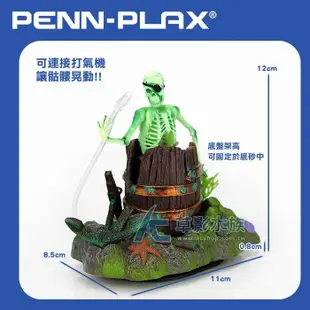 【AC草影】PENN-PLAX 龐貝 酒桶之王古拉格斯【一個】