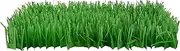 SmartyKat Instincts 2-Pack Meadow Mayhem Hide & Seek Paper Grass Rustle Cat Mat Toy - Green, 2-Pack