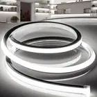 LED Strip Lights Daylight White 6000K,65.6ft 110-120V Neon Rope Lights,Flexib...