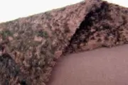 Sassy Bears Long Pile Rayon Bear Fur Fabric - CHESTNUT FQ 19"x28" (LPR17)