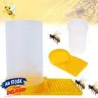 Bee Water Feeder Drinking Nest Cup Entrance Beekeeping Beekeeper Beehive AU