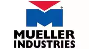 Mueller Industries BH33755 400# 1/4 ATMOS-NPTFE IN PRV Pressure Reducing Valve