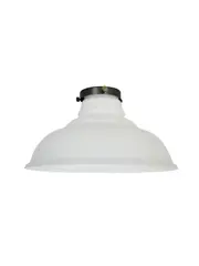Manor 350mm Barn Shade in Frosted Opal Glass
