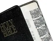 tabbies Digital Camo Bible Indexing Tabs, Old & New Testaments, 90 Tabs Including 66 Books, 11 Reference, 6 Personal, 7 Write-on Tabs (58413)