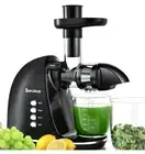 Slow Masticating Juicer, Cold Press w/ 2 Speed Modes, Quiet, High Juice Yield