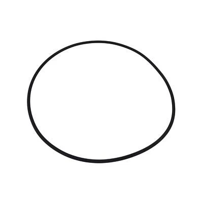 Lid O-ring For Astral Hurlcon ZX250 10045 78094 Tank Cartridge Filter Oring Only
