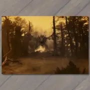 FLATCARD Woods Fire Breathing Dragon Wings Mysterious Creepy Unusual Eerie